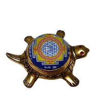 Tortoise symbol for wealth protection and longevity