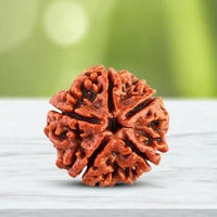 natural rudraksha beads jaap mala traditional design