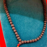 rudraksh jaap mala used for prayer and spiritual practice